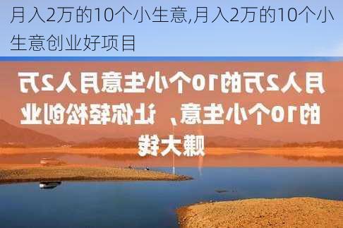 月入2万的10个小生意,月入2万的10个小生意创业好项目-第2张图片-豌豆旅游网