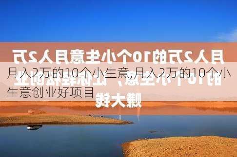 月入2万的10个小生意,月入2万的10个小生意创业好项目-第2张图片-豌豆旅游网