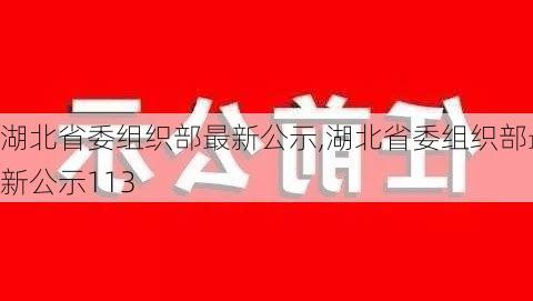 湖北省委组织部最新公示,湖北省委组织部最新公示113