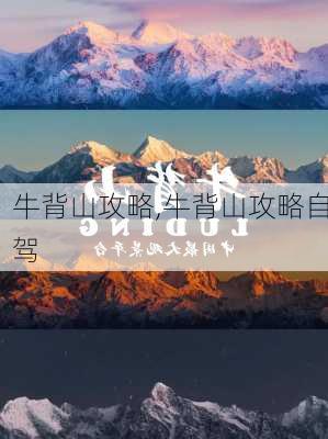 牛背山攻略,牛背山攻略自驾-第2张图片-豌豆旅游网