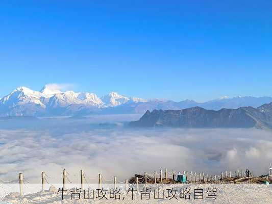 牛背山攻略,牛背山攻略自驾