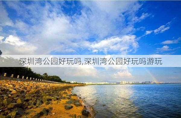 深圳湾公园好玩吗,深圳湾公园好玩吗游玩-第2张图片-豌豆旅游网