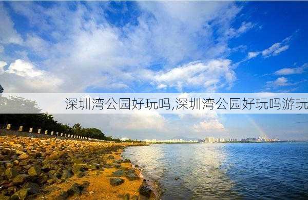 深圳湾公园好玩吗,深圳湾公园好玩吗游玩-第2张图片-豌豆旅游网