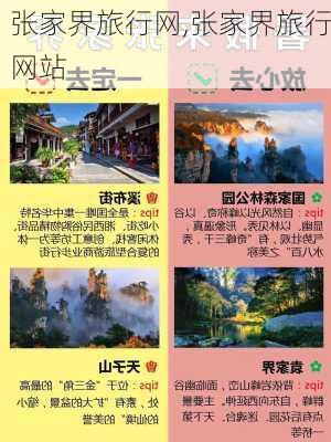 张家界旅行网,张家界旅行网站-第2张图片-豌豆旅游网