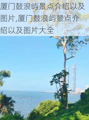 厦门鼓浪屿景点介绍以及图片,厦门鼓浪屿景点介绍以及图片大全-第1张图片-豌豆旅游网