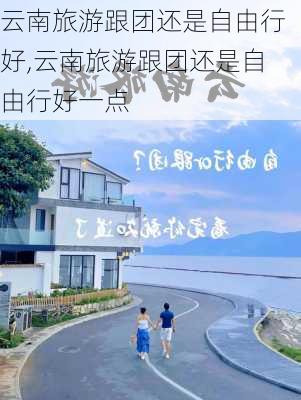 云南旅游跟团还是自由行好,云南旅游跟团还是自由行好一点-第2张图片-豌豆旅游网