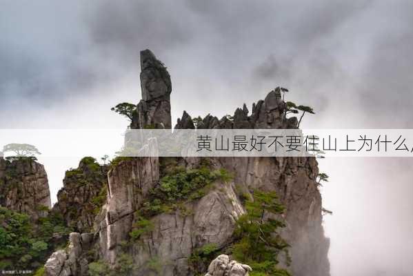 黄山最好不要住山上为什么,-第2张图片-豌豆旅游网