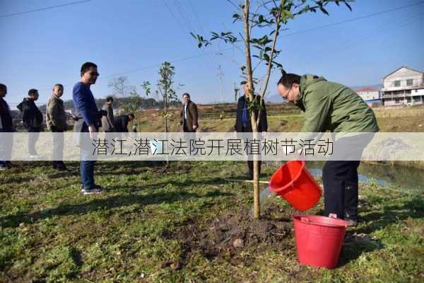 潜江,潜江法院开展植树节活动-第2张图片-豌豆旅游网