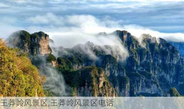 王莽岭风景区,王莽岭风景区电话-第3张图片-豌豆旅游网