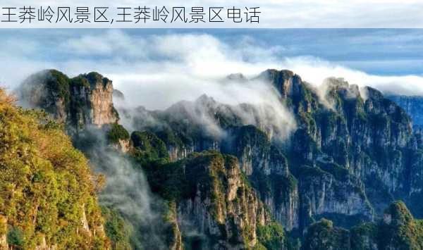 王莽岭风景区,王莽岭风景区电话-第3张图片-豌豆旅游网