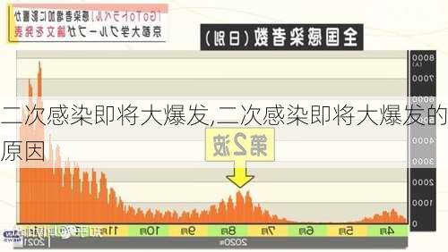 二次感染即将大爆发,二次感染即将大爆发的原因-第2张图片-豌豆旅游网