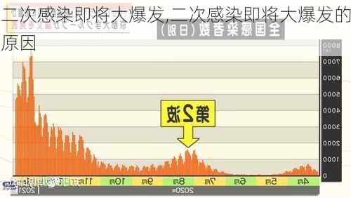 二次感染即将大爆发,二次感染即将大爆发的原因-第2张图片-豌豆旅游网