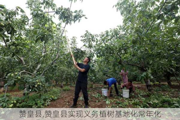 赞皇县,赞皇县实现义务植树基地化常年化-第3张图片-豌豆旅游网