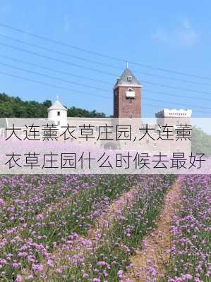 大连薰衣草庄园,大连薰衣草庄园什么时候去最好