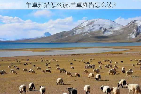 羊卓雍措怎么读,羊卓雍措怎么读?-第1张图片-豌豆旅游网