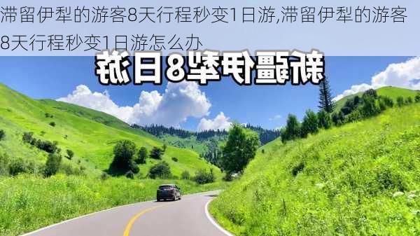 滞留伊犁的游客8天行程秒变1日游,滞留伊犁的游客8天行程秒变1日游怎么办-第1张图片-豌豆旅游网