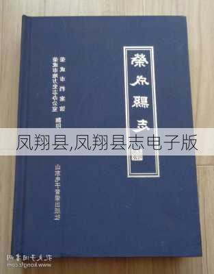 凤翔县,凤翔县志电子版-第3张图片-豌豆旅游网