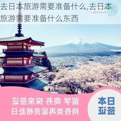 去日本旅游需要准备什么,去日本旅游需要准备什么东西-第3张图片-豌豆旅游网