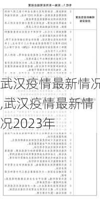 武汉疫情最新情况,武汉疫情最新情况2023年-第2张图片-豌豆旅游网