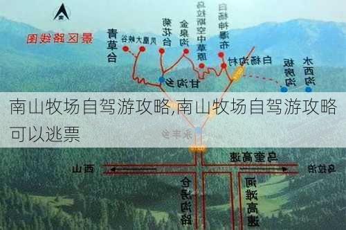 南山牧场自驾游攻略,南山牧场自驾游攻略可以逃票