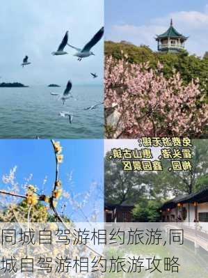 同城自驾游相约旅游,同城自驾游相约旅游攻略-第2张图片-豌豆旅游网