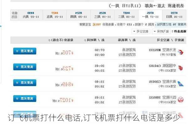 订飞机票打什么电话,订飞机票打什么电话是多少-第3张图片-豌豆旅游网