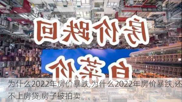 为什么2022年房价暴跌,为什么2022年房价暴跌,还不上房贷,房子被拍卖-第3张图片-豌豆旅游网