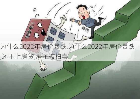 为什么2022年房价暴跌,为什么2022年房价暴跌,还不上房贷,房子被拍卖-第2张图片-豌豆旅游网