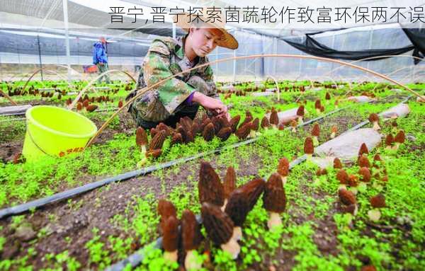 晋宁,晋宁探索菌蔬轮作致富环保两不误-第2张图片-豌豆旅游网