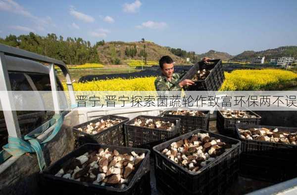 晋宁,晋宁探索菌蔬轮作致富环保两不误-第1张图片-豌豆旅游网