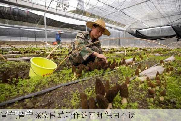 晋宁,晋宁探索菌蔬轮作致富环保两不误-第3张图片-豌豆旅游网