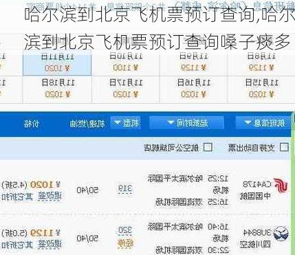 哈尔滨到北京飞机票预订查询,哈尔滨到北京飞机票预订查询嗓子痰多-第2张图片-豌豆旅游网