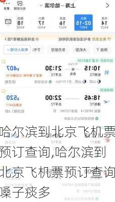 哈尔滨到北京飞机票预订查询,哈尔滨到北京飞机票预订查询嗓子痰多