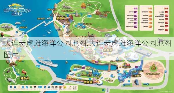 大连老虎滩海洋公园地图,大连老虎滩海洋公园地图图片