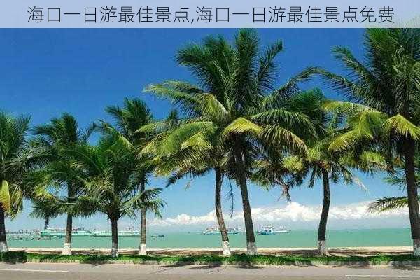 海口一日游最佳景点,海口一日游最佳景点免费-第2张图片-豌豆旅游网