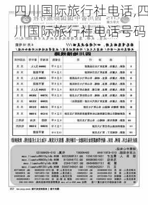 四川国际旅行社电话,四川国际旅行社电话号码-第1张图片-豌豆旅游网