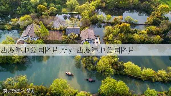 西溪湿地公园图片,杭州西溪湿地公园图片-第1张图片-豌豆旅游网