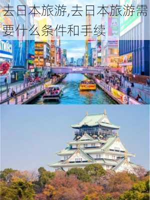 去日本旅游,去日本旅游需要什么条件和手续-第3张图片-豌豆旅游网