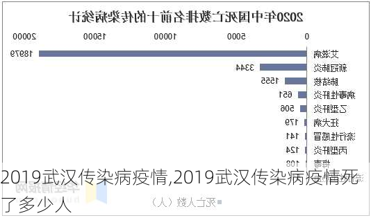 2019武汉传染病疫情,2019武汉传染病疫情死了多少人-第3张图片-豌豆旅游网