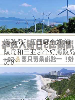 海陵岛和三亚哪个好,海陵岛和三亚哪个好海陵岛房价-第1张图片-豌豆旅游网