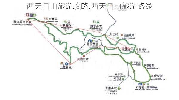 西天目山旅游攻略,西天目山旅游路线-第3张图片-豌豆旅游网