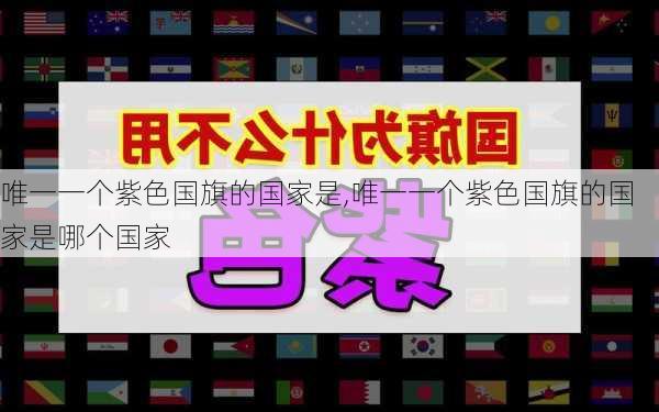 唯一一个紫色国旗的国家是,唯一一个紫色国旗的国家是哪个国家-第2张图片-豌豆旅游网