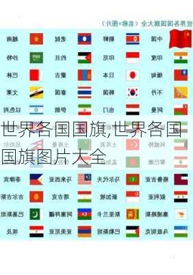 世界各国国旗,世界各国国旗图片大全-第2张图片-豌豆旅游网