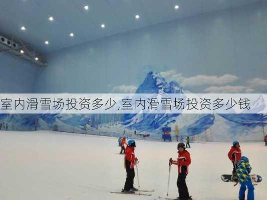 室内滑雪场投资多少,室内滑雪场投资多少钱-第3张图片-豌豆旅游网