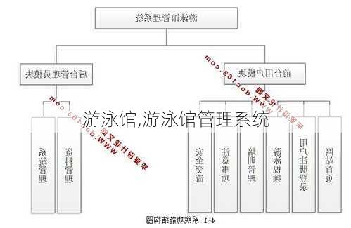 游泳馆,游泳馆管理系统-第1张图片-豌豆旅游网