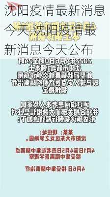 沈阳疫情最新消息今天,沈阳疫情最新消息今天公布-第2张图片-豌豆旅游网