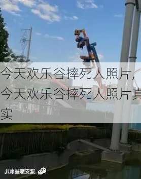 今天欢乐谷摔死人照片,今天欢乐谷摔死人照片真实-第2张图片-豌豆旅游网