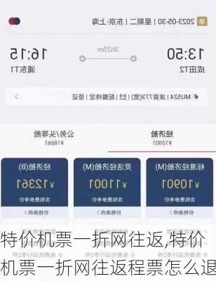 特价机票一折网往返,特价机票一折网往返程票怎么退-第3张图片-豌豆旅游网