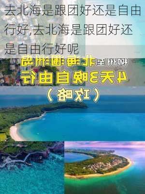 去北海是跟团好还是自由行好,去北海是跟团好还是自由行好呢-第3张图片-豌豆旅游网