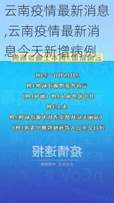 云南疫情最新消息,云南疫情最新消息今天新增病例-第3张图片-豌豆旅游网